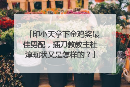 印小天拿下金鸡奖最佳男配,插刀教教主杜淳现状又是怎样的?