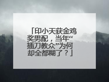 印小天获金鸡奖男配,当年“插刀教众”为何却全都糊了?