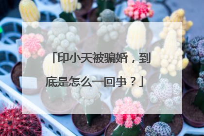 印小天被骗婚，到底是怎么一回事？