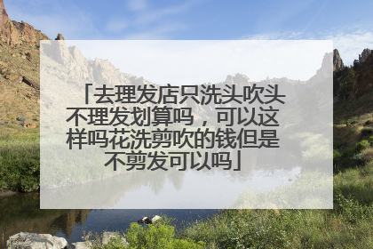 去理发店只洗头吹头不理发划算吗,可以这样吗花洗剪吹的钱但是不剪发可以吗