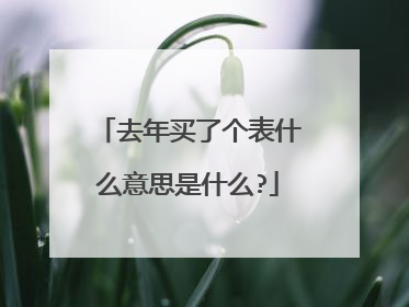去年买了个表什么意思是什么?