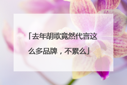 去年胡歌竟然代言这么多品牌，不累么