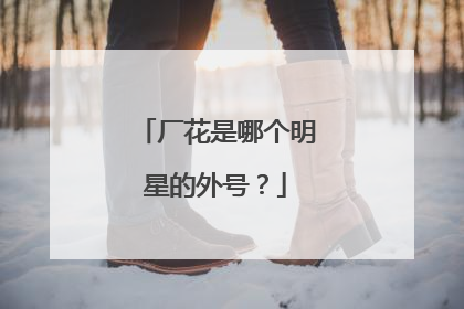 厂花是哪个明星的外号？