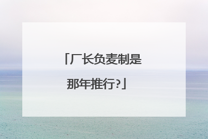 厂长负麦制是那年推行?