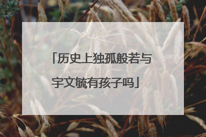 历史上独孤般若与宇文毓有孩子吗