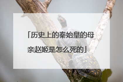 历史上的秦始皇的母亲赵姬是怎么死的