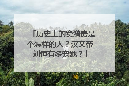 历史上的窦漪房是个怎样的人？汉文帝刘恒有多宠她？