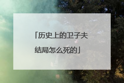历史上的卫子夫结局怎么死的