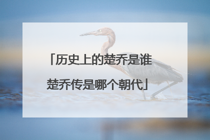 历史上的楚乔是谁 楚乔传是哪个朝代