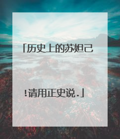 历史上的苏妲己!请用正史说.