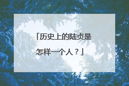 历史上的陆贞是怎样一个人?