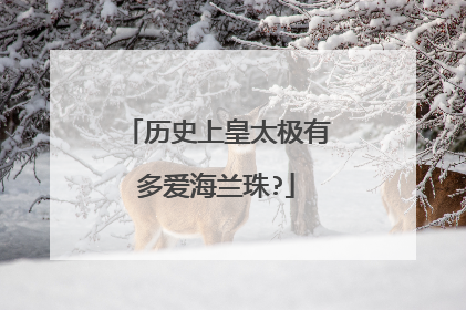 历史上皇太极有多爱海兰珠?