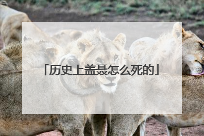 历史上盖聂怎么死的