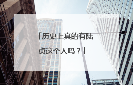 历史上真的有陆贞这个人吗？