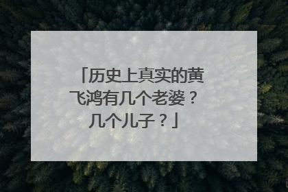 历史上真实的黄飞鸿有几个老婆?几个儿子?