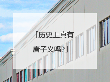 历史上真有唐子义吗?