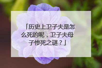 历史上卫子夫是怎么死的呢，卫子夫母子惨死之谜？