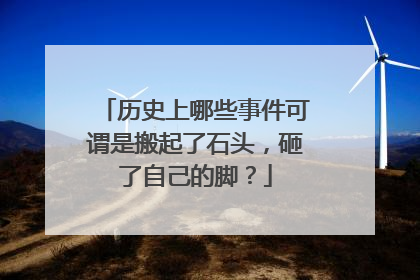 历史上哪些事件可谓是搬起了石头，砸了自己的脚？