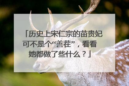 历史上宋仁宗的苗贵妃可不是个“善茬”，看看她都做了些什么？