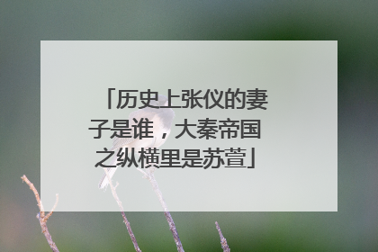 历史上张仪的妻子是谁,大秦帝国之纵横里是苏萱