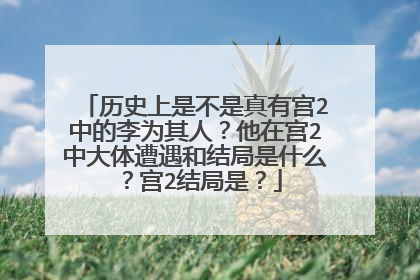 历史上是不是真有宫2中的李为其人？他在宫2中大体遭遇和结局是什么？宫2结局是？
