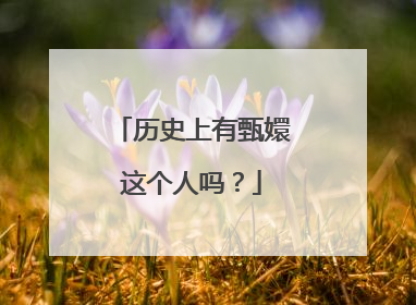 历史上有甄嬛这个人吗？
