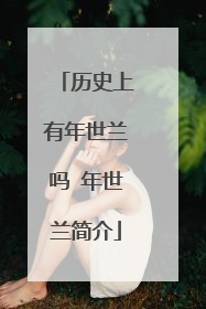 历史上有年世兰吗 年世兰简介