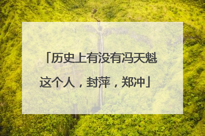 历史上有没有冯天魁这个人,封萍,郑冲