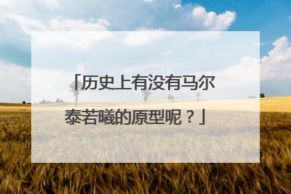 历史上有没有马尔泰若曦的原型呢?