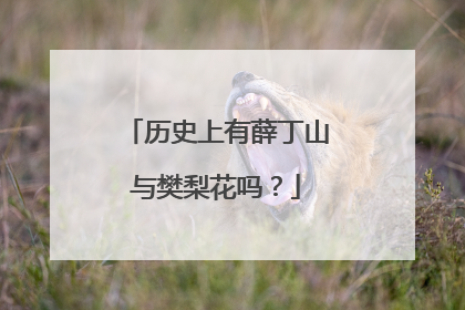 历史上有薛丁山与樊梨花吗?