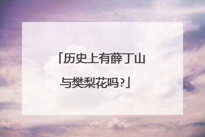 历史上有薛丁山与樊梨花吗?