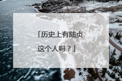 历史上有陆贞这个人吗?