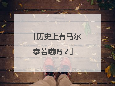 历史上有马尔泰若曦吗？