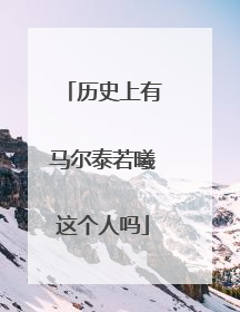 历史上有马尔泰若曦这个人吗
