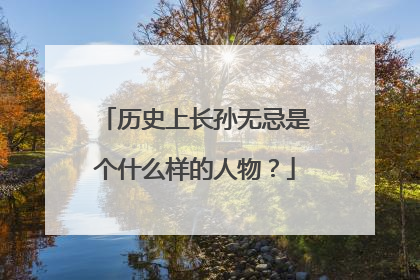 历史上长孙无忌是个什么样的人物？