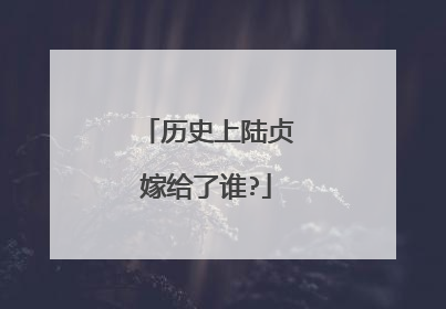 历史上陆贞嫁给了谁?