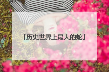 历史世界上最大的蛇