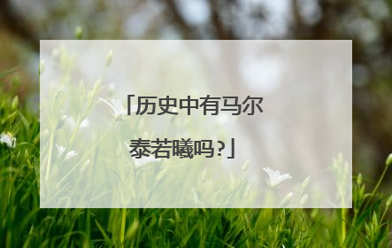 历史中有马尔泰若曦吗?