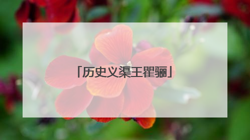 历史义渠王瞿骊