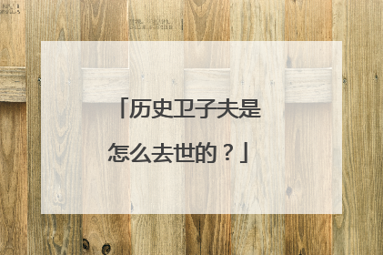 历史卫子夫是怎么去世的？