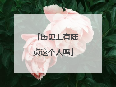 历史上有陆贞这个人吗