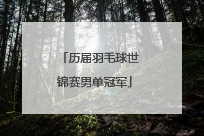 历届羽毛球世锦赛男单冠军