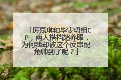 厉嘉琪和毕雯珺组CP,两人搭档超养眼,为何我却被这个反串配角帅到了呢?