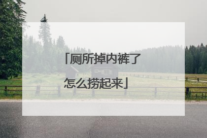 厕所掉内裤了怎么捞起来