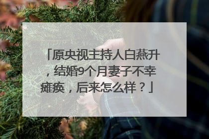 原央视主持人白燕升，结婚9个月妻子不幸瘫痪，后来怎么样？