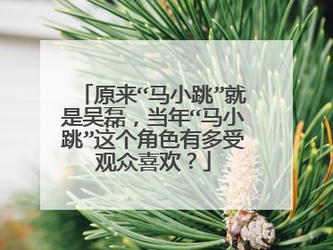 原来“马小跳”就是吴磊，当年“马小跳”这个角色有多受观众喜欢？