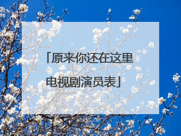 原来你还在这里电视剧演员表