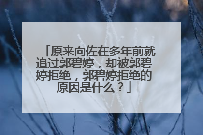 原来向佐在多年前就追过郭碧婷,却被郭碧婷拒绝,郭碧婷拒绝的原因是什么?