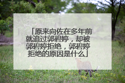 原来向佐在多年前就追过郭碧婷,却被郭碧婷拒绝,郭碧婷拒绝的原因是什么