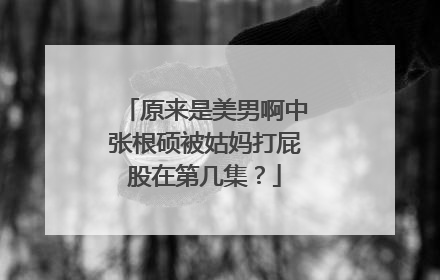原来是美男啊中张根硕被姑妈打屁股在第几集?